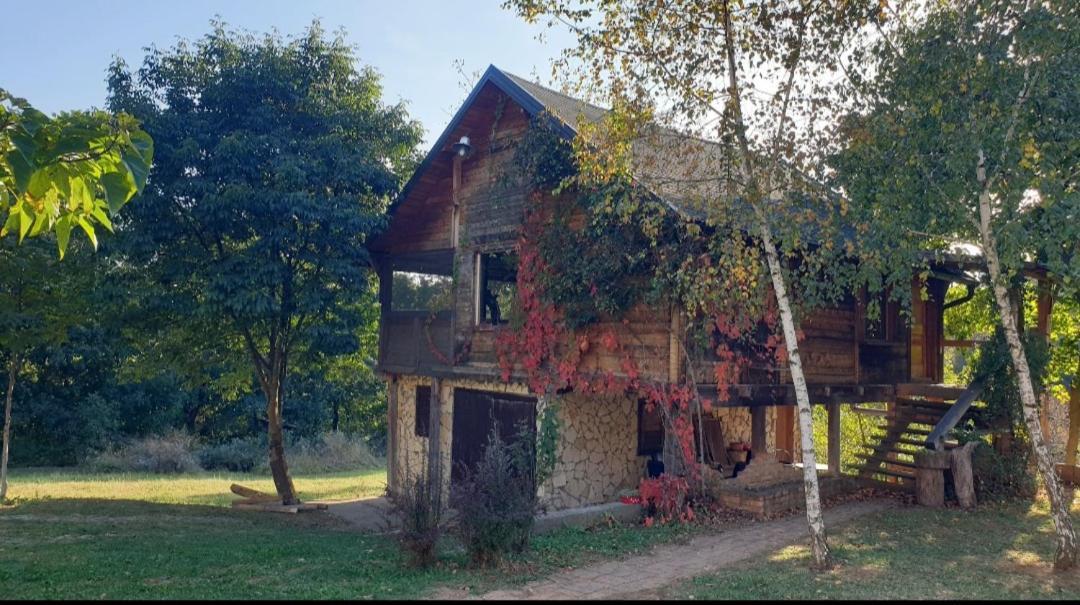 Log Cabin Belgrade Exterior photo
