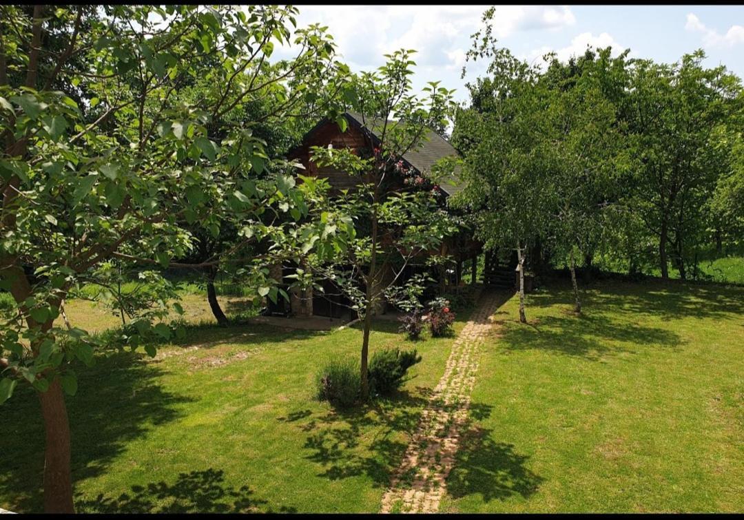 Log Cabin Belgrade Exterior photo