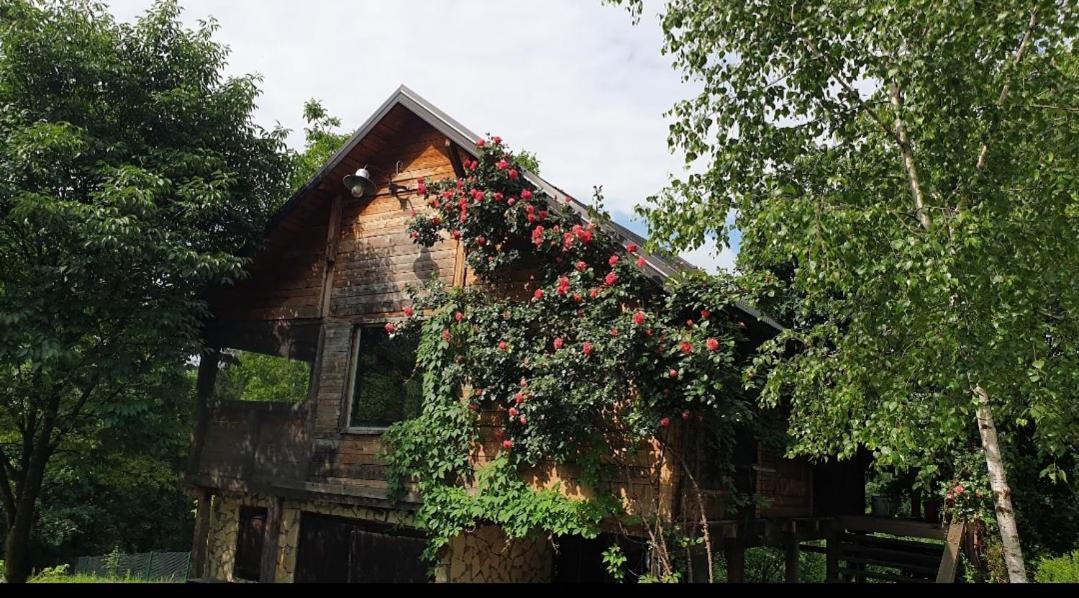 Log Cabin Belgrade Exterior photo