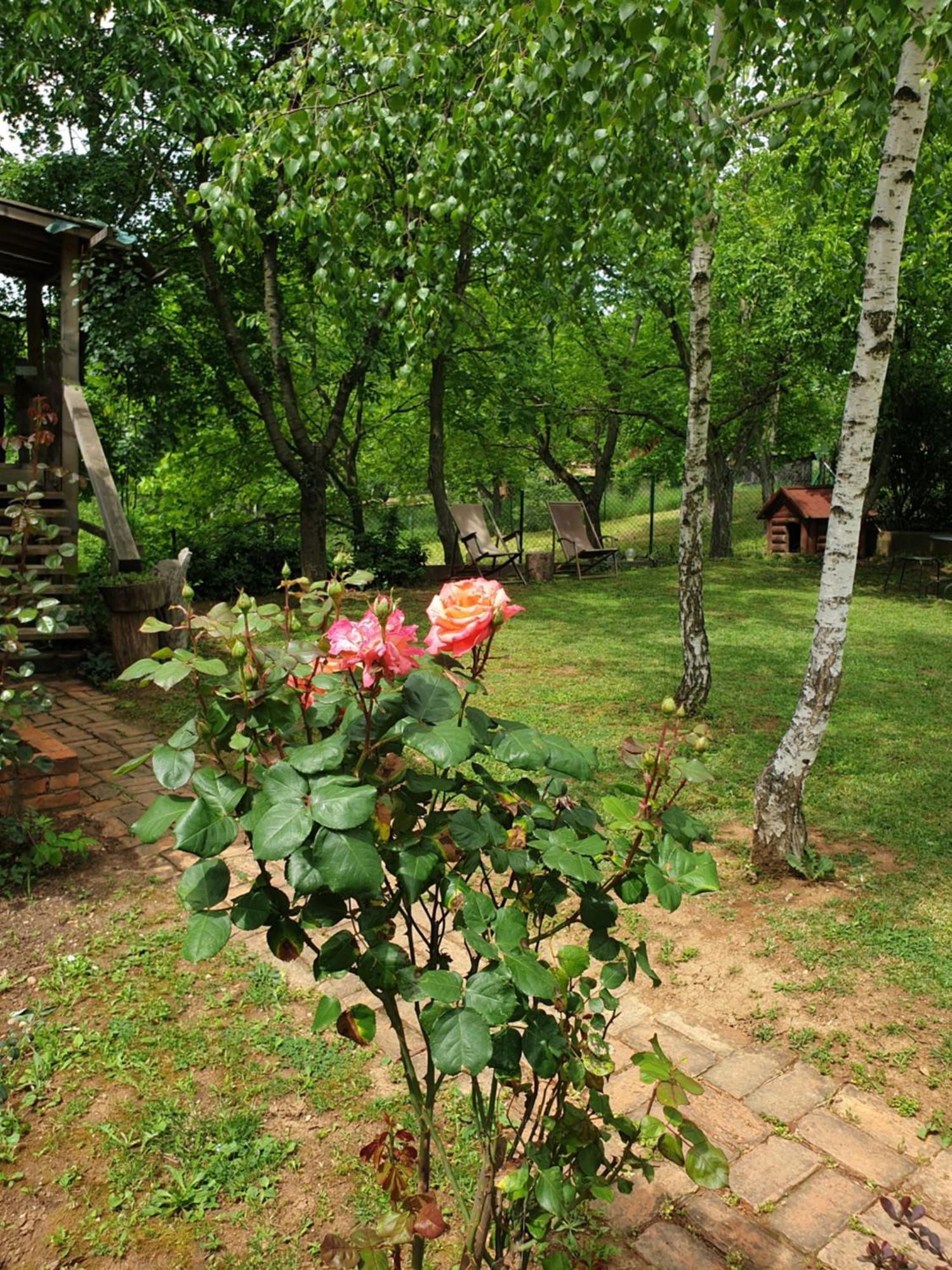 Log Cabin Belgrade Exterior photo